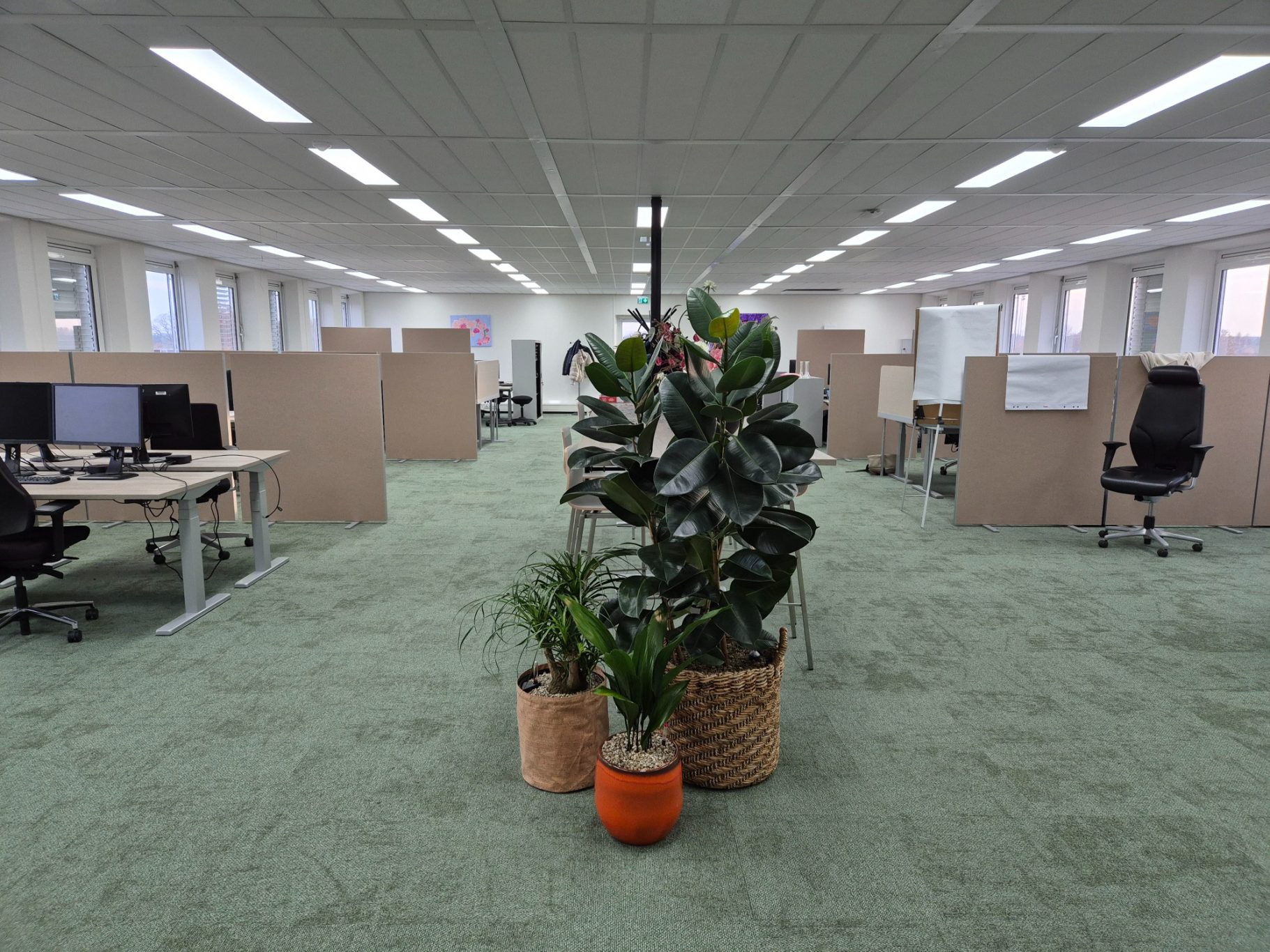 Lege kantoorruimte met bureaus, stoelen en een plant in het midden.